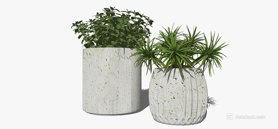 White Concrete Cylindrical and Textured Indoor Green Bonsai Potted Plants with Lush Foliage 3d model 