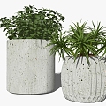 Modern Potted Plant Decorative Plant Potted Plant 3d model