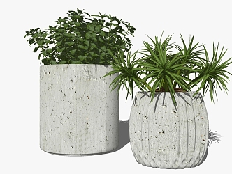 Modern Potted Plant Decorative Plant Potted Plant 3d model