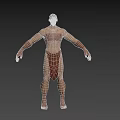 Muscular Man With Strong Physique In Cloth Wrapping Costume And Outstretched Arms
