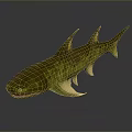 Green and Yellow Aquatic Fish With Spiked Dorsal Fins Streamlined Body And Pale Underbelly