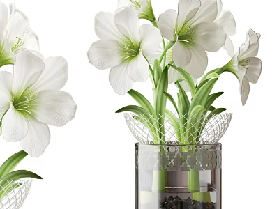 White Flowers In Transparent Glass Vase With Mesh Decor And Green Stems 3d model