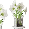 White Flowers In Transparent Glass Vase With Mesh Decor And Green Stems