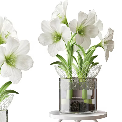 White Flowers In Transparent Glass Vase With Mesh Decor And Green Stems 3d model