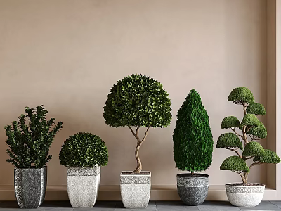 Silly Wind Outdoor Potted Plant Pot Landscape Greenery 3d model