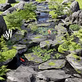Natural Water Fountain With Rocks Green Plants Lily Pads And Koi Fish
