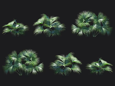 Lush Green Fan Shaped Palm Leaves As Decorative Design Elements On Black Background 3d model