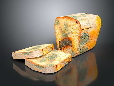 Sliced Moldy Bread With Green And Orange Mold Spots On Surface 3d model