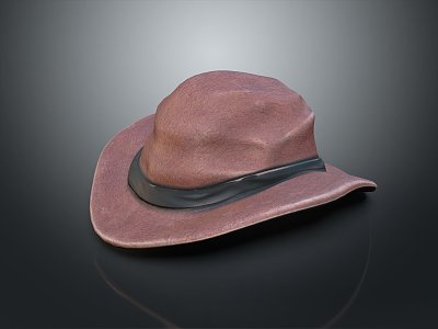 Modern hat cartoon 3d model