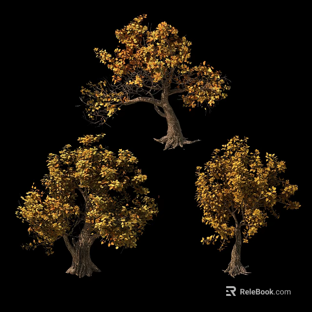 Three Lush Arbor Trees With Golden Yellow Leaves On Black Background 3d model 