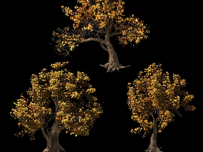 Three Lush Arbor Trees With Golden Yellow Leaves On Black Background 3d model
