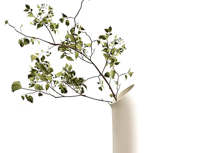 Fresh Green Leaves Branches in White Vase for Modern Interior Decor 3d model