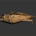 Owl grimace owl long-eared owl wulin owl monkey face owl carved owl 3d model