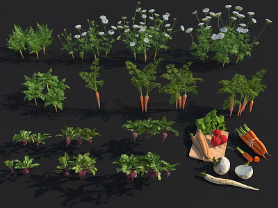 Fresh Garden Vegetables Carrots Beets Parsley Onions Red Peppers with Harvested Produce Bag 3d model