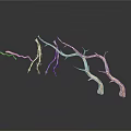 Dry Tree Branches With Twisted Bare Limbs On White Background 3d model