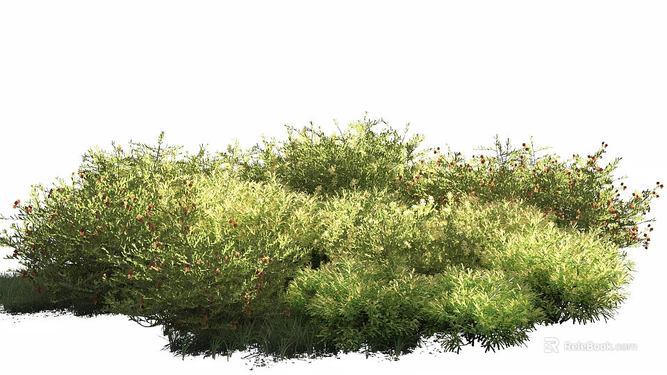 Lush Green Shrubs with Dense Foliage in Garden Landscape Design 3d model 