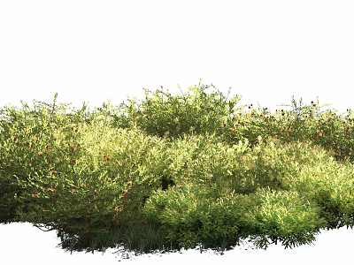 Lush Green Shrubs with Dense Foliage in Garden Landscape Design 3d model