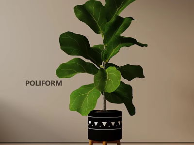 Large Fiddle Leaf Fig Indoor Potted Plant With Geometric Patterned Pot On Stand 3d model