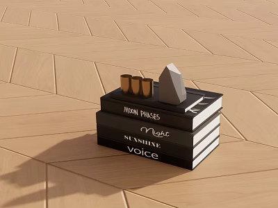 Stack of Books Including Indian Palms Music Sunshine Voice with Decorative Items on Wooden Floor 3d model