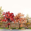 Courtyard landscaping maple ginkgo tree landscape tree modeling street tree courtyard sketch fence 3d model