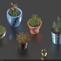 Potted Bonsai Plants in Colorful Pots with Various Small Green Plants and Decorative Design