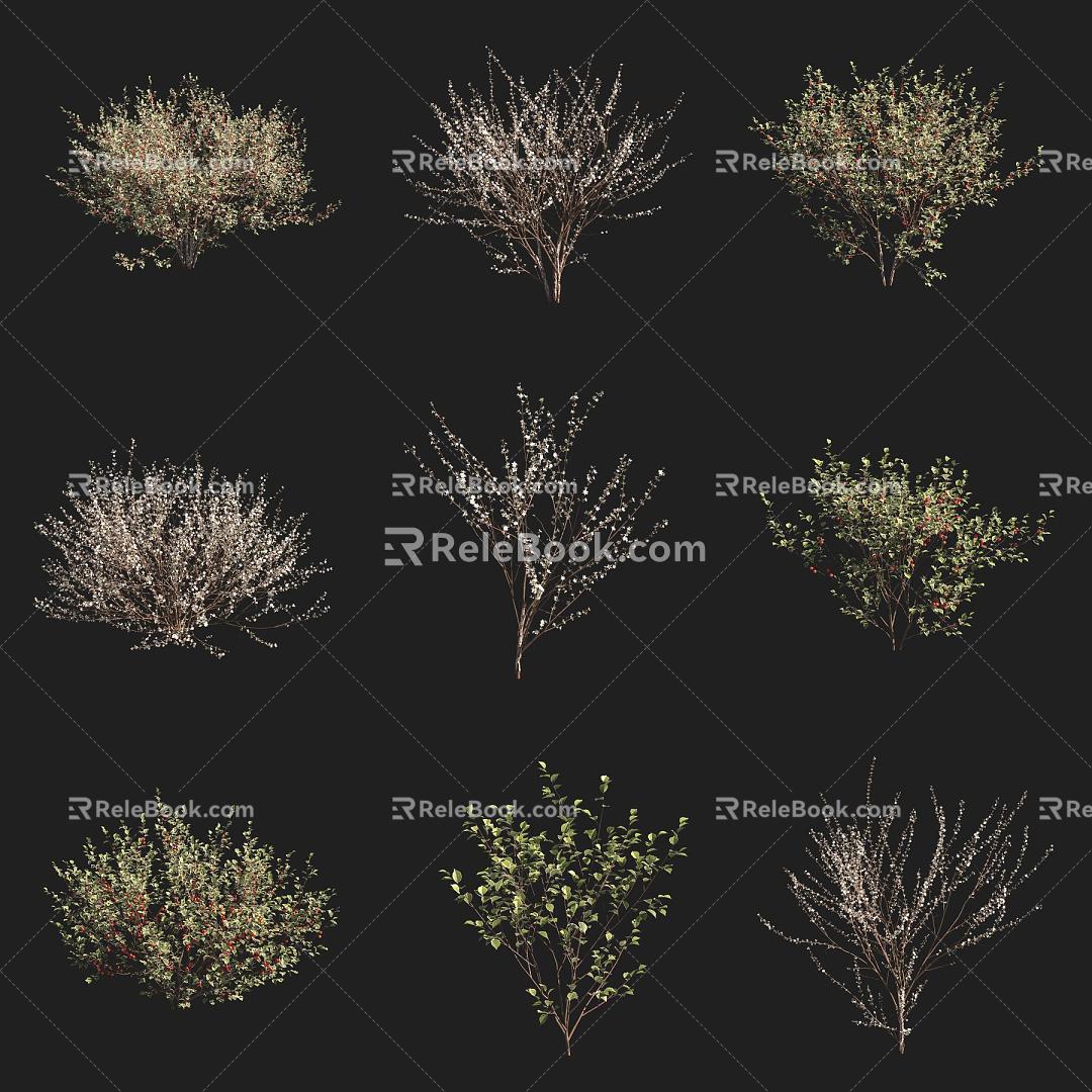 hairy cherry shrub 3d model