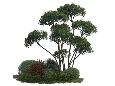 Small Bush Cluster With Slender Trunks And Various Colored Leaves In Green Red Purple 3d model