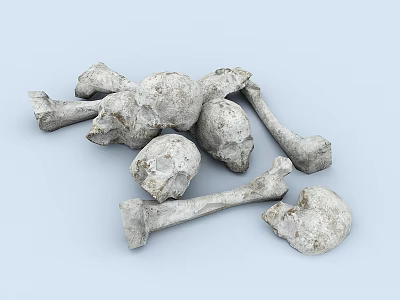 Man Skeleton Remains Including Skulls And Long Bones On Light Blue Background 3d model