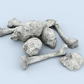 Skull Bones 3d model
