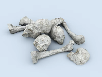 Man Skeleton Remains Including Skulls And Long Bones On Light Blue Background 3d model Man Skeleton Remains Including Skulls And Long Bones On Light Blue Background 3d model