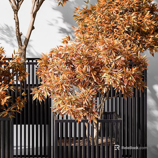 Bonsai Plant With Orange Brown Leaves Against White Wall And Black Fence Outdoor 3d model 