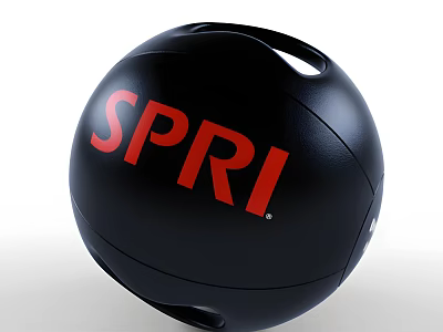 SPRI Black Exercise Ball High Quality Sports Equipment For Fitness Training 3d model
