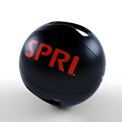 SPRI Black Exercise Ball High Quality Sports Equipment For Fitness Training 3d model