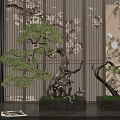 Indoor Bonsai Pine Tree Plant With Decorative Ceramic Pot For Modern Home Greenery Decoration