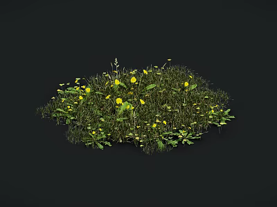 Lush Green Grass With Small Yellow Flowers Growing In Natural Cluster 3d model