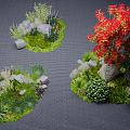 Vibrant Flower And Green Plant Combinations With Decorative Rocks In Garden