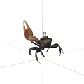 Reptile crab 3d model