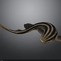 Black and Brown Striped Fish with Streamlined Body Long Tail and Fins