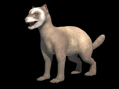 Meerkat 3d model Meerkat 3d model