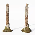 Natural Stone Wood Tree Trunks With Mossy Base And Peeling Bark 3d model