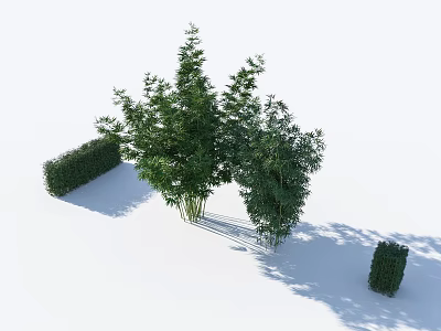 Lush Bamboo Plants With Well Trimmed Hedge And Small Shrubs In Garden 3d model