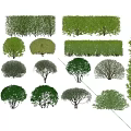 Various Types of Garden Shrubs in Different Shapes and Lush Green Foliage
