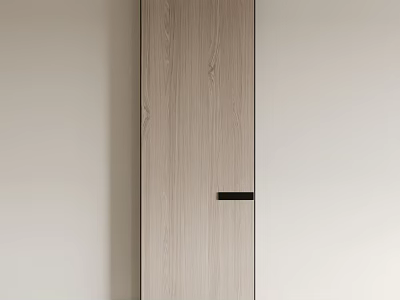 Minimalist Light Wood Hinged Door With Black Handle Against Light Colored Wall 3d model
