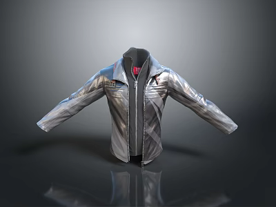 Silver Metallic Jacket For Daily Wear With Zipper Closure And Soft Inner Lining 3d model