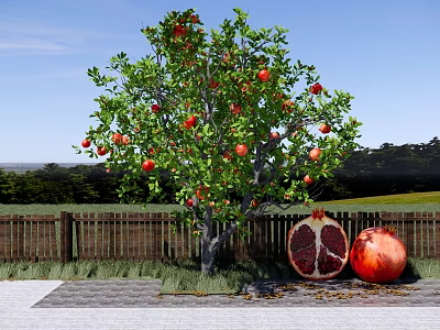 pomegranate tree pomegranate landscape modeling tree landscaping courtyard fruit tree trees fruit tree fence 3d model