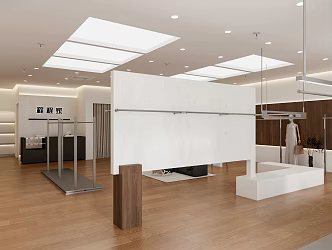 Clothing Store Modern Walnut Women's Clothing Store 3d model