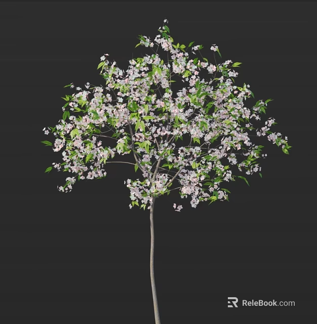 Beautiful Flowering Tree With Pink And White Blossoms And Lush Green Leaves 3d model 
