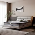 Double Bed In Bright Bedroom With Leather Headboard Gray Mattress Green Plant And Wall Art