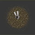 White Armored Female Warrior Character Wielding Dual Swords on Gravel Ground