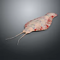 Fish Freshwater Fish Sea Fish Animal Game Animal Cartoon Animal Realistic Animal 3d model
